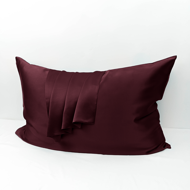 1 Piece 19 Momme 100% Pure Mulberry Silk Pillowcase with Hidden Zipper